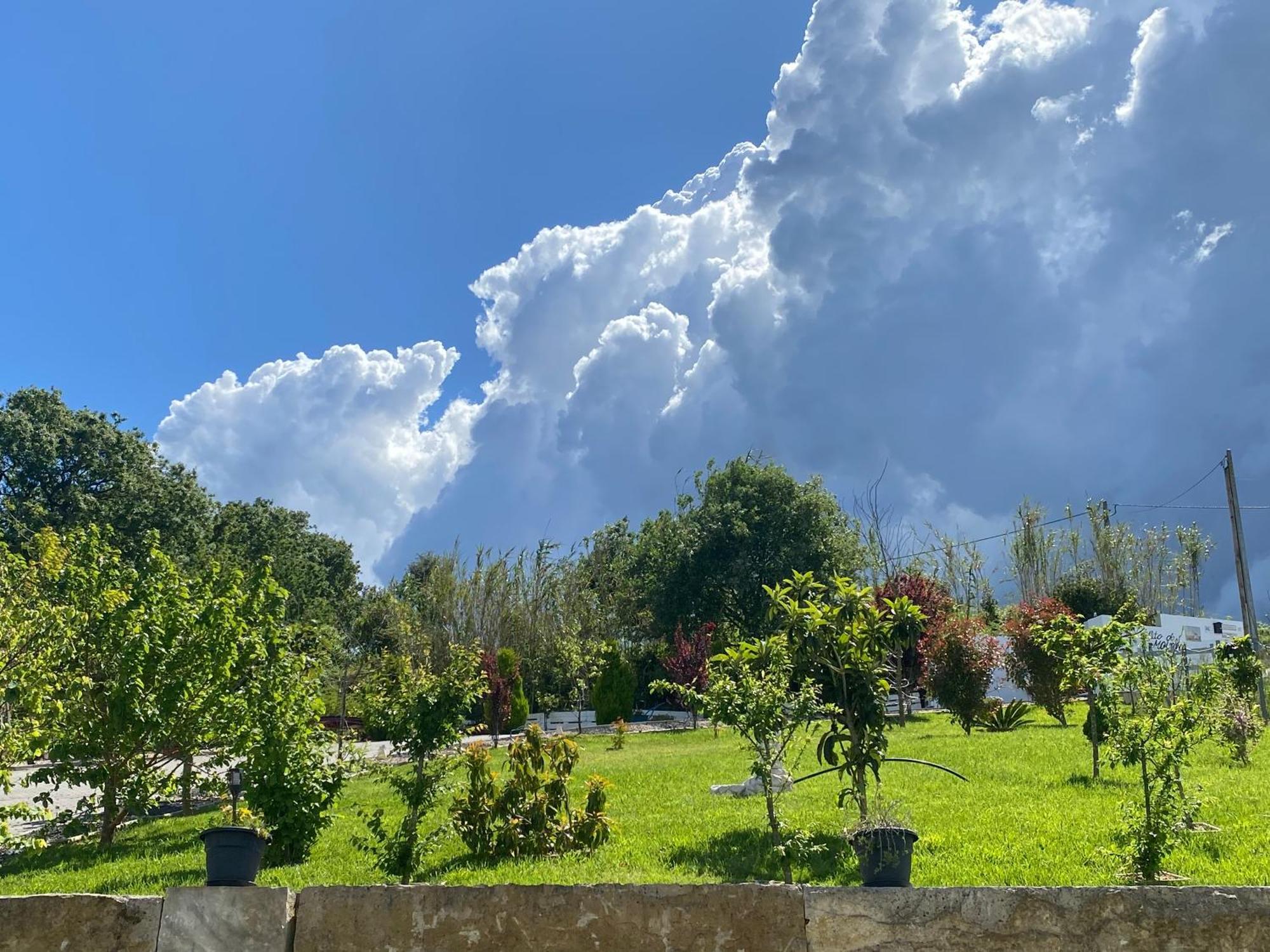 Alto Do Moinho Διαμέρισμα Alcobaça Εξωτερικό φωτογραφία